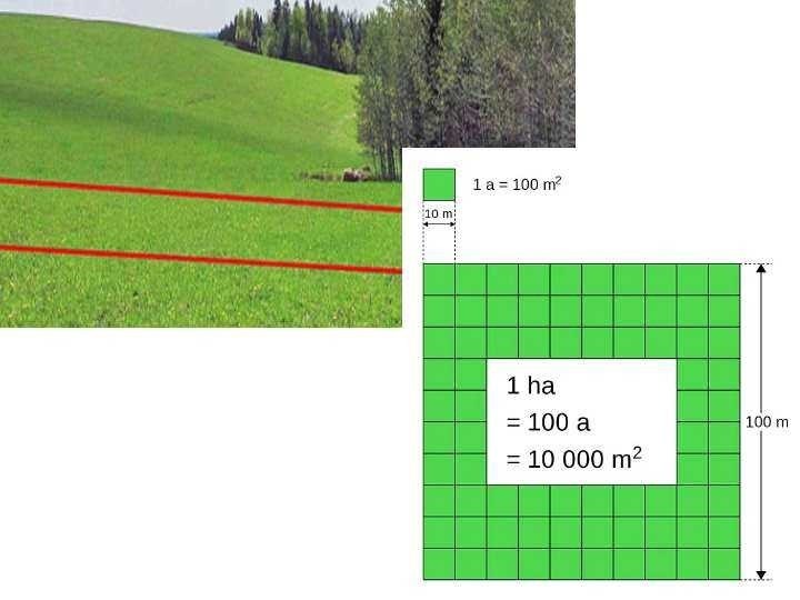 Сотка земли сколько квадратных метров и акров в одном гектаре 