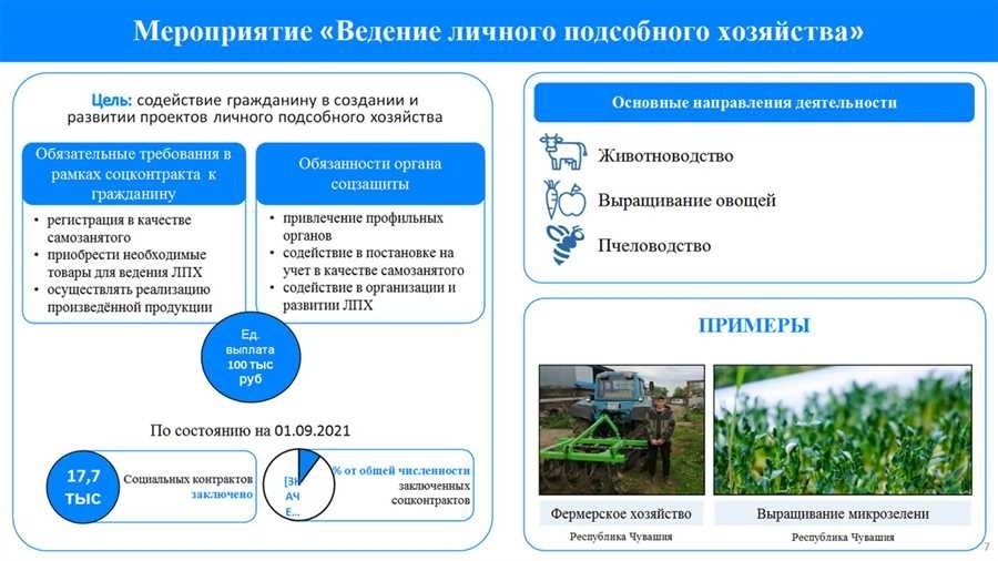 Социальный контракт определение примеры и значение